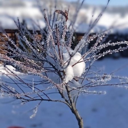 Затишний Будиночок Bukovets Eksteriør billede