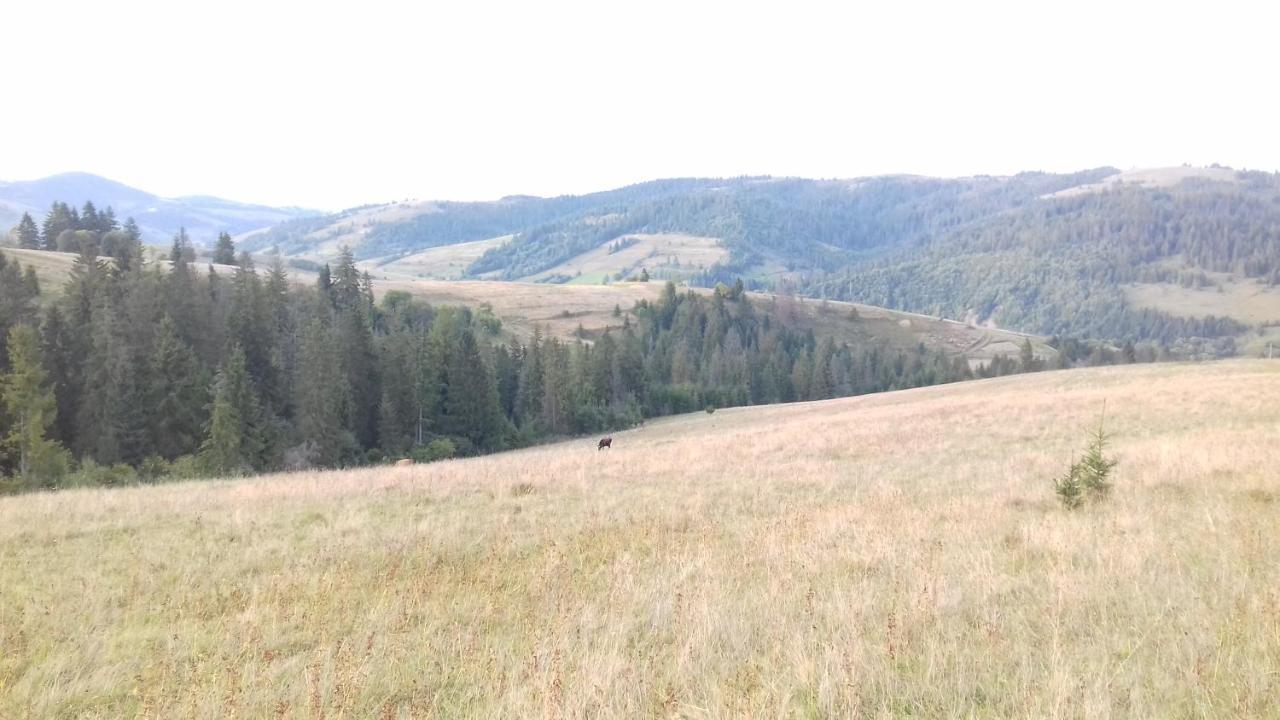 Затишний Будиночок Bukovets Eksteriør billede